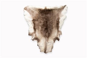 Image description is not available for 2018.4.1